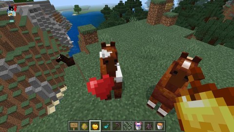 我的世界马吃什么繁殖[图1]