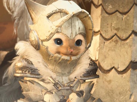 怪物猎人猎猫用什么