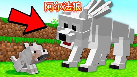 我的世界狼怎么繁殖