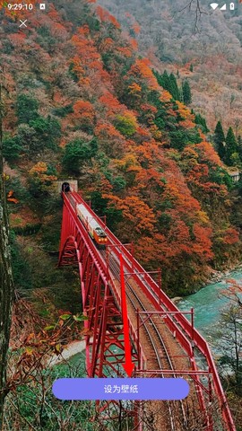 壁纸大全4k[图4]