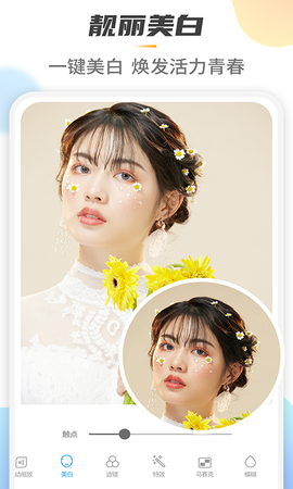 马赛克去除大师图1