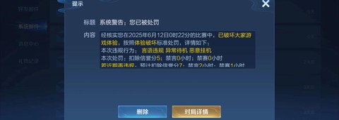 什么是制裁王者荣耀