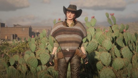 荒野大镖客线上如何单人[图2]