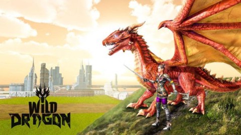 龙骑士模拟器图3