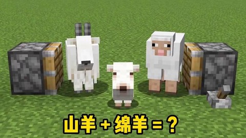 我的世界羊骆吃什么