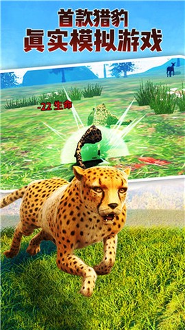 森林动物联盟[图1]