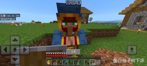 我的世界如何养村民