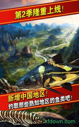 钓鱼发烧友[图1]