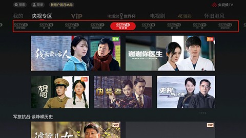 央视频TV[图10]