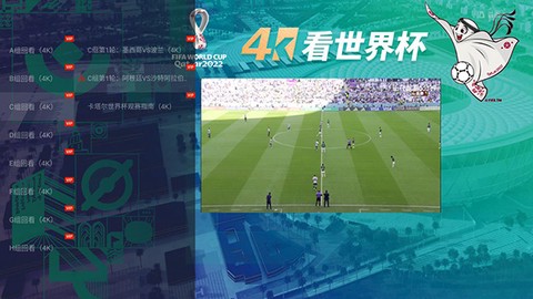 央视频TV[图14]