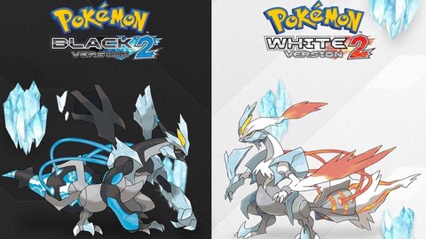 口袋妖怪黑2海底遗迹有什么