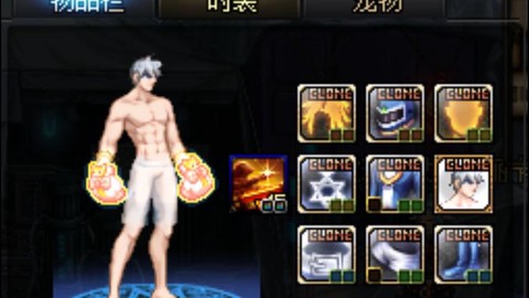 dnf武极时装上衣选什么技能[图2]