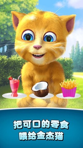 会说话的金杰猫图1