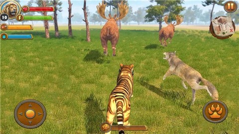 丛林老虎模拟器图3