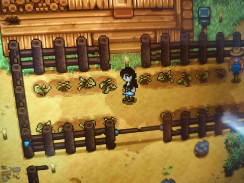 星露谷物语如何变性