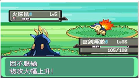 口袋妖怪漆黑的魅影图2