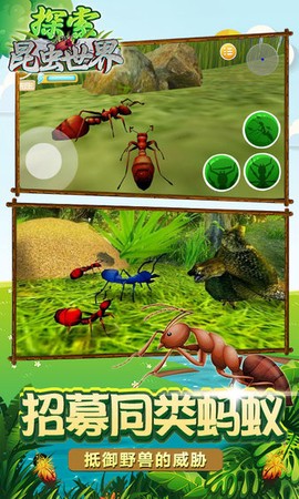探索昆虫世界图1