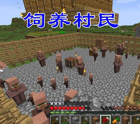 我的世界怎么让村民繁殖[图1]