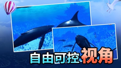 海洋动物世界图2