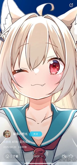 星咩视频壁纸[图2]