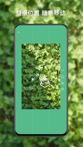 星咩视频壁纸图2