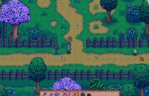 星露谷物语松露怎么得