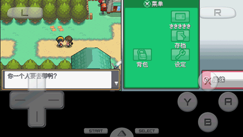 口袋妖怪：心金图3