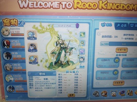 洛克王国cdkey怎么[图1]