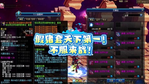 dnf如何做假猪套[图2]