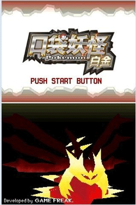 口袋妖怪白金图1