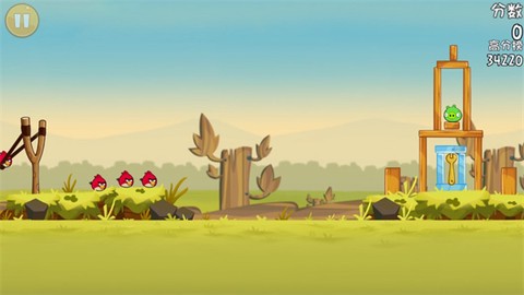 愤怒的小鸟[图8]