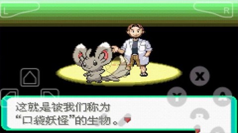 口袋妖怪漆黑的魅影金手指图3