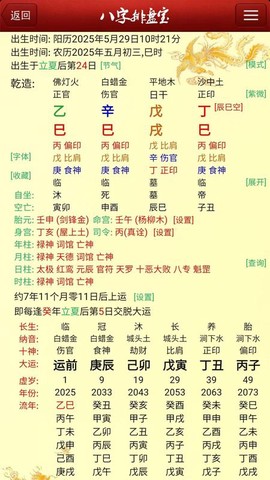 马国峻八字排盘宝图3