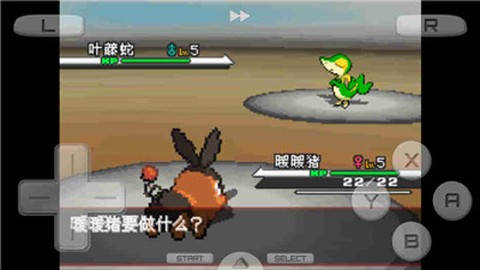 口袋妖怪白[图1]