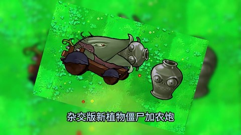 激战2加农炮怎么打