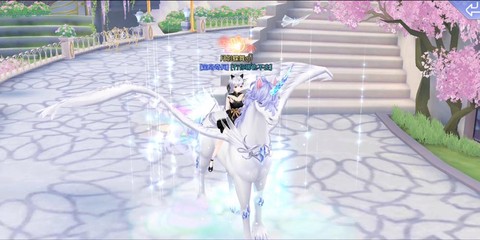 qq炫舞宠物什么好[图2]