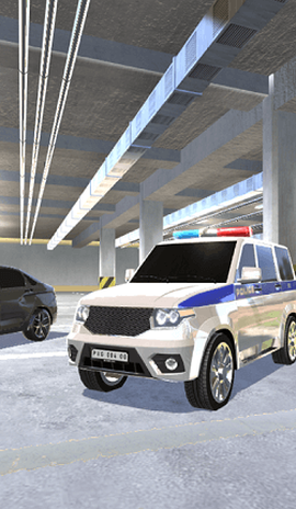 警察VS犯罪：追逐图2