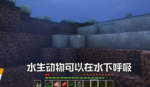 我的世界变形模组图3