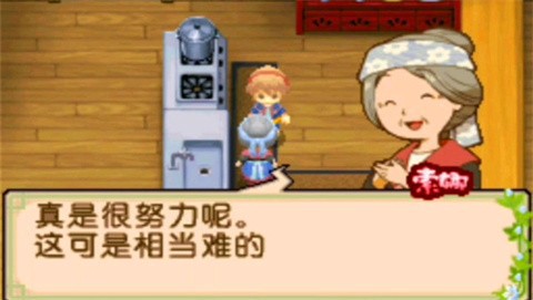 牧场物语双子村[图3]