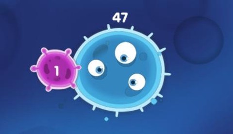 可爱宠物护理[图1]