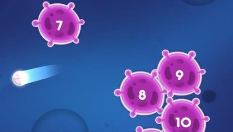 可爱宠物护理[图2]