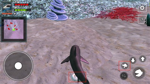 饥饿鲨鱼求生[图7]