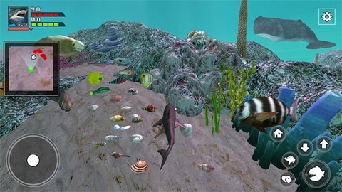 饥饿鲨鱼求生[图8]