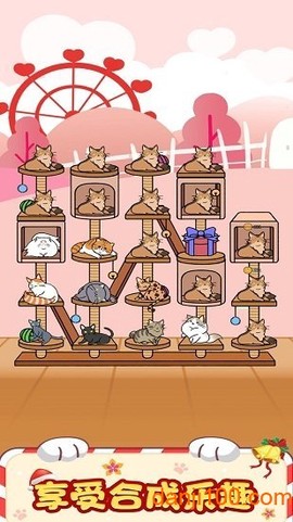 猫咪旅行家[图1]