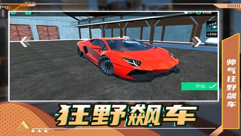 疯狂狂野飙车[图1]