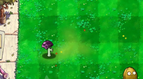 胆小菇之梦[图1]