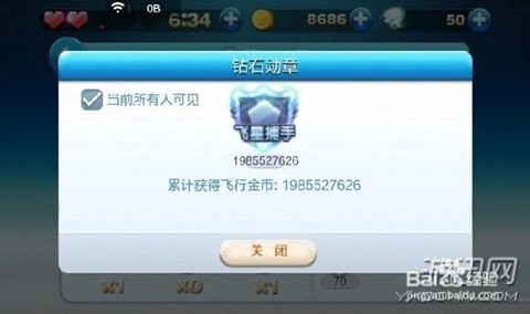 天天酷跑飞行金币是什么