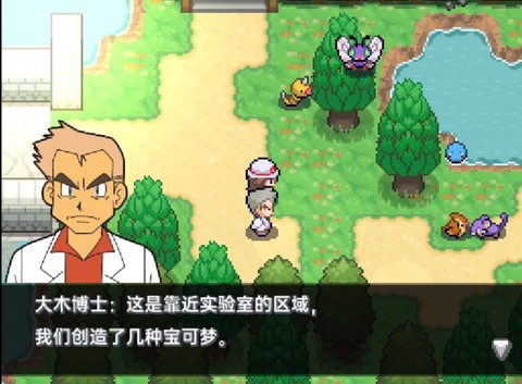 口袋妖怪黑白版图2