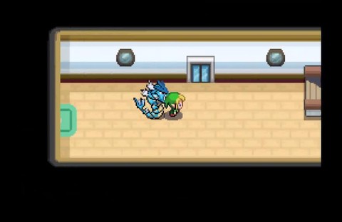 口袋妖怪黑白版图3