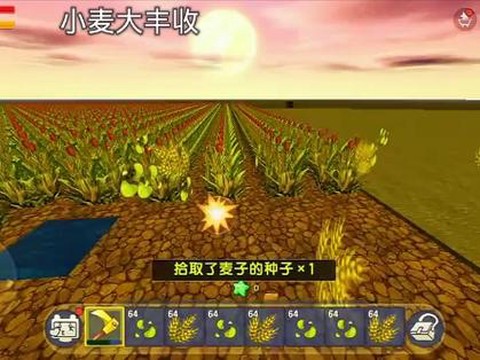 迷你世界小麦怎么收获[图2]